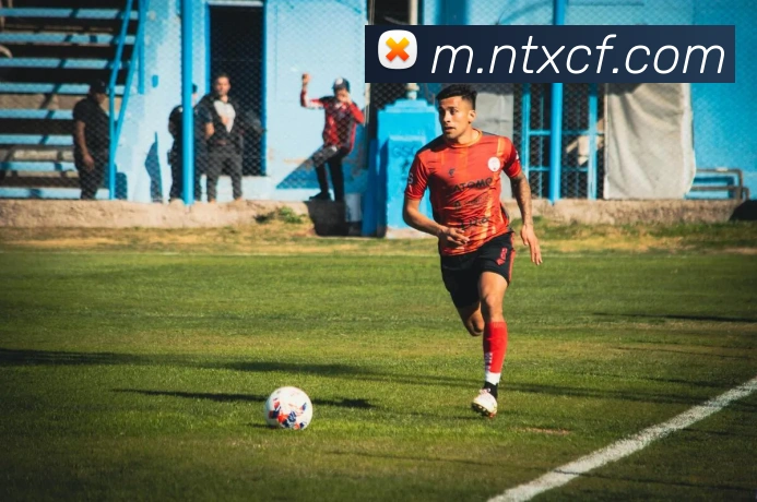 超凡国际平台生态图